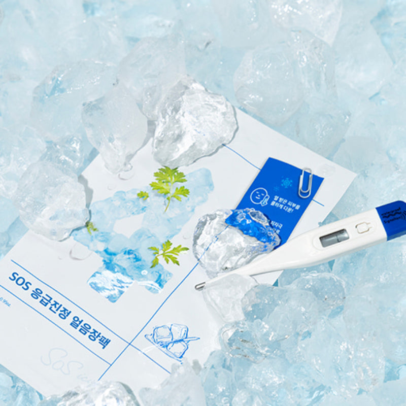 No.4 Icy Soothing Sheet Mask