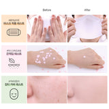  Cover Perfection Fixealer - Korean-Skincare